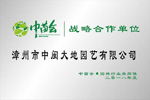 中苗会战略合作单位