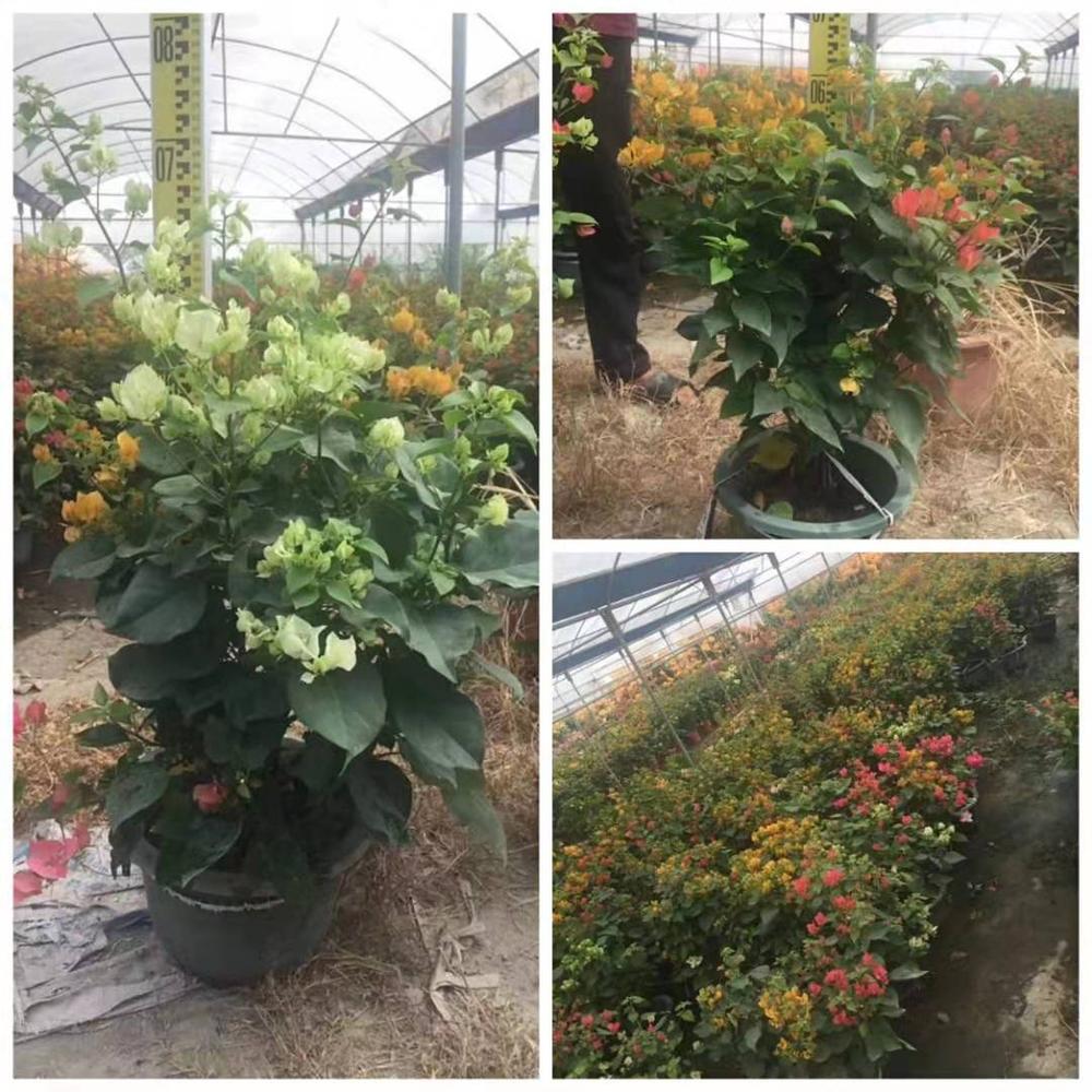 微信图片_20191019161343.jpg