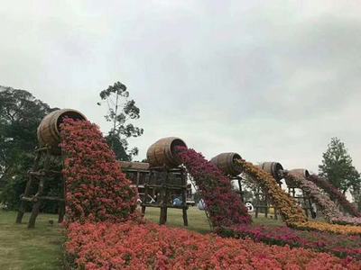 “流水瀑布”三角梅造型