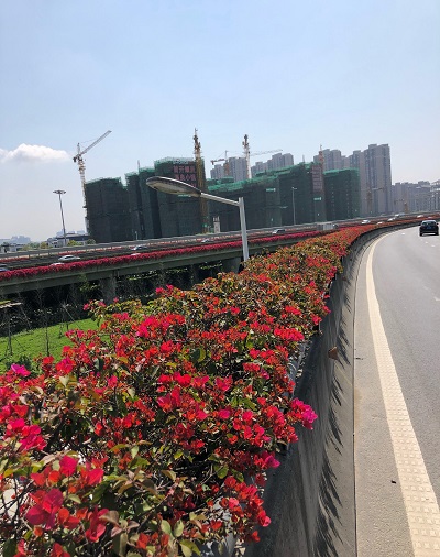 文章附图