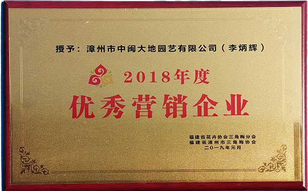 福建省花卉协会三角梅分会