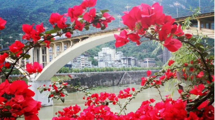 文章附图